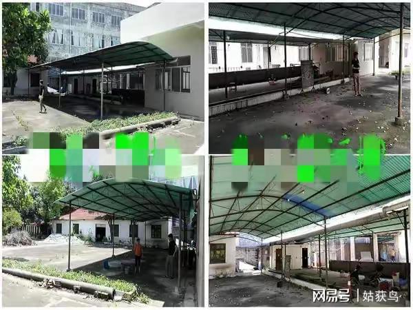 ob体育·(中国)官方网站玉林市福绵区的一座大型工厂拍卖被人以1300万元的价格(图2)