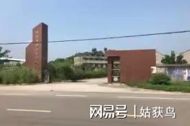 ob体育app下载资阳市的一座大型工厂第二次拍卖被人以4043万元的高价拿下了(图1)