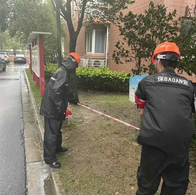 ob体育app下载本市房管系统全力迎战台风“贝碧嘉”（二）(图6)