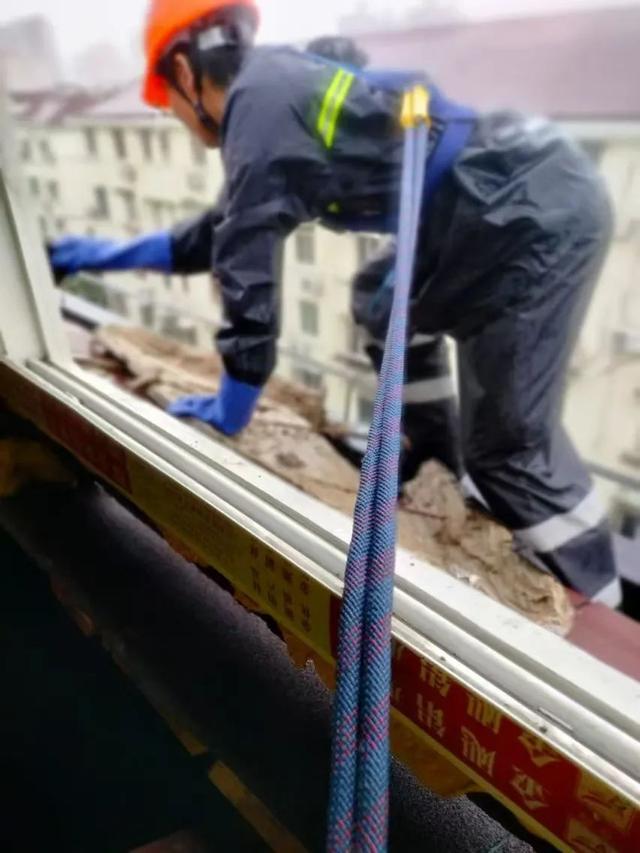 ob体育app下载本市房管系统全力迎战台风“贝碧嘉”（二）(图4)