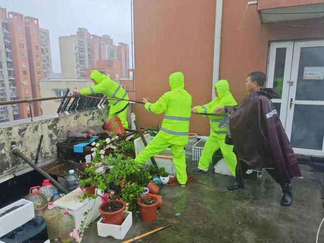 ob体育app下载本市房管系统全力迎战台风“贝碧嘉”（二）(图10)