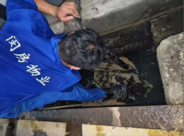 ob体育app下载本市房管系统全力迎战台风“贝碧嘉”（二）(图16)