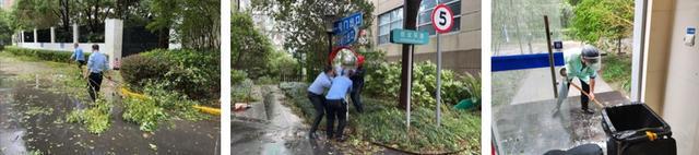 ob体育app下载本市房管系统全力迎战台风“贝碧嘉”（二）(图27)