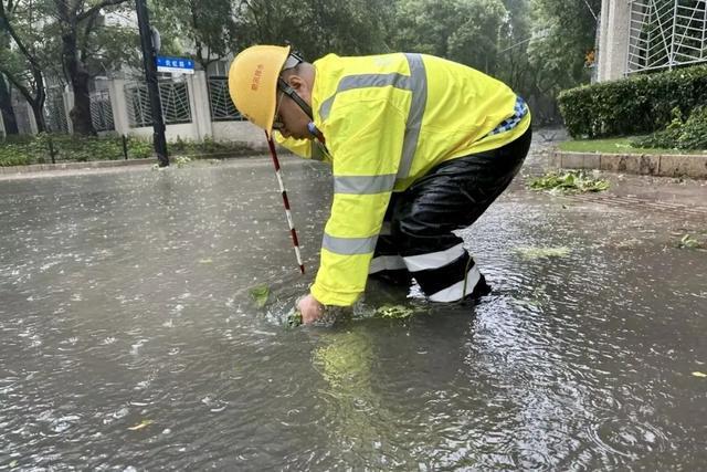 ob体育app下载本市房管系统全力迎战台风“贝碧嘉”（二）(图29)
