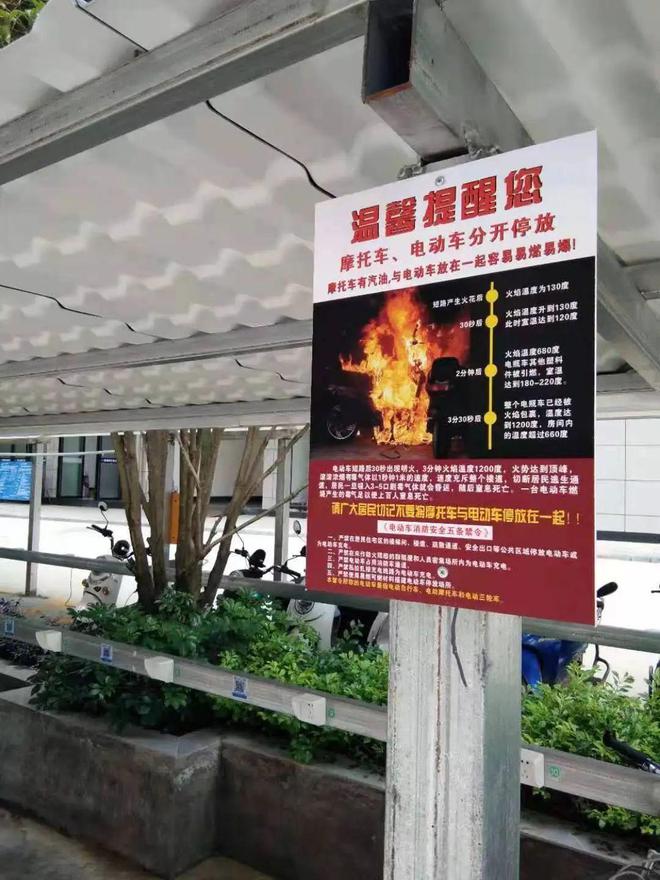 ob体育有电马的市民注意！桂林针对下列行为已开始重点整治(图7)