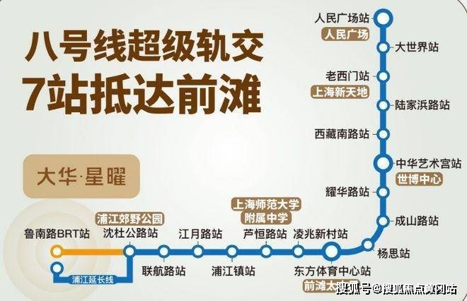 ob体育大华星曜【2025大华星曜官方网站】大华星曜-户型配套-上海房天下(图30)